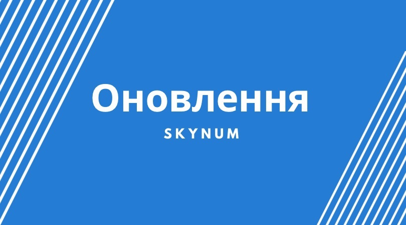 Отчеты P&L и Cashflow теперь доступны в Skynum